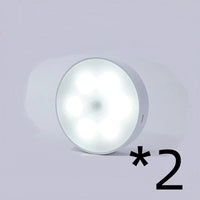 2pcs White light